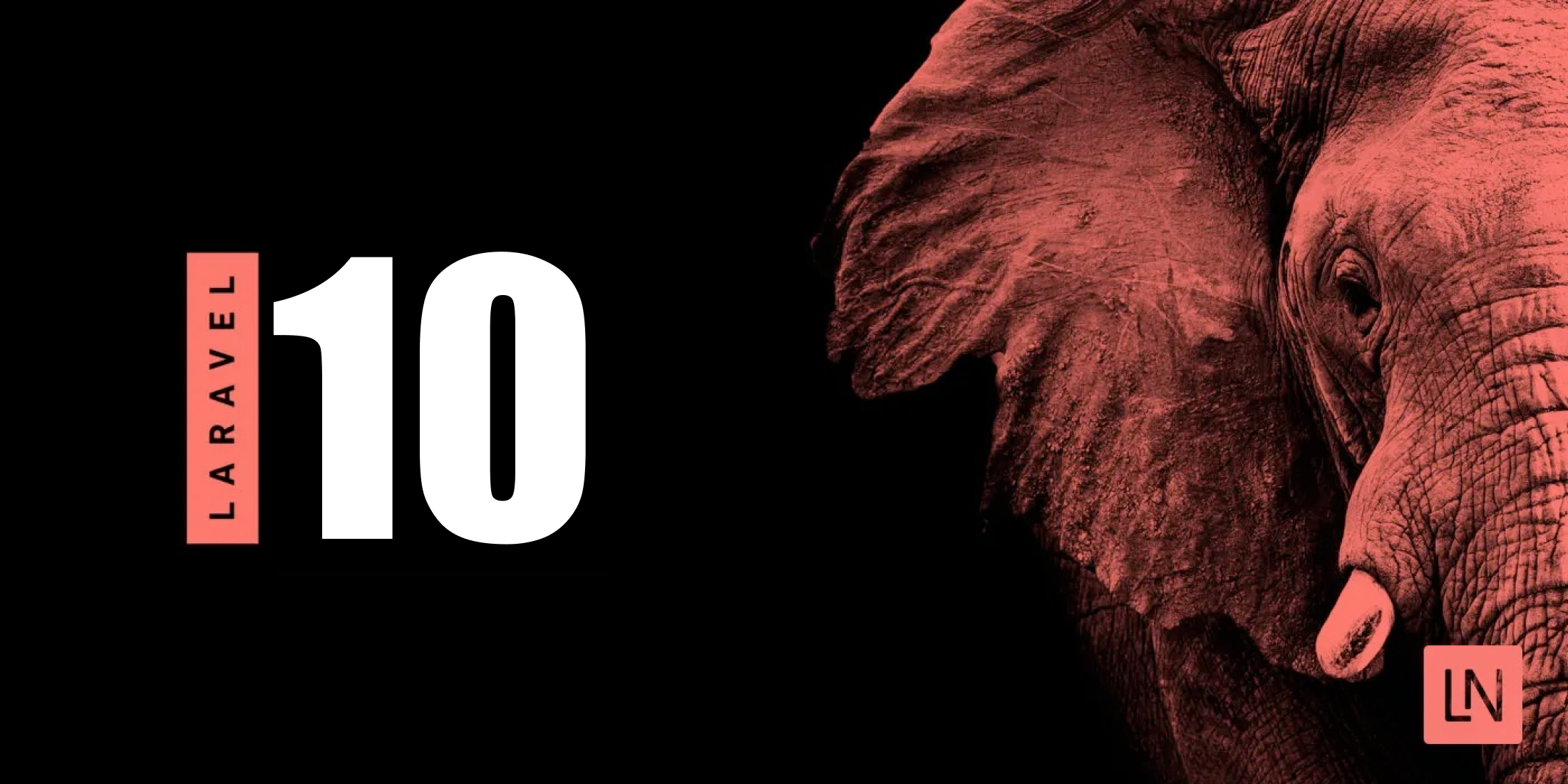 laravel10